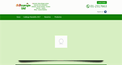 Desktop Screenshot of dicoprogensac.com